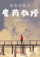 哈利波特之魔法觉醒电脑版新手教程